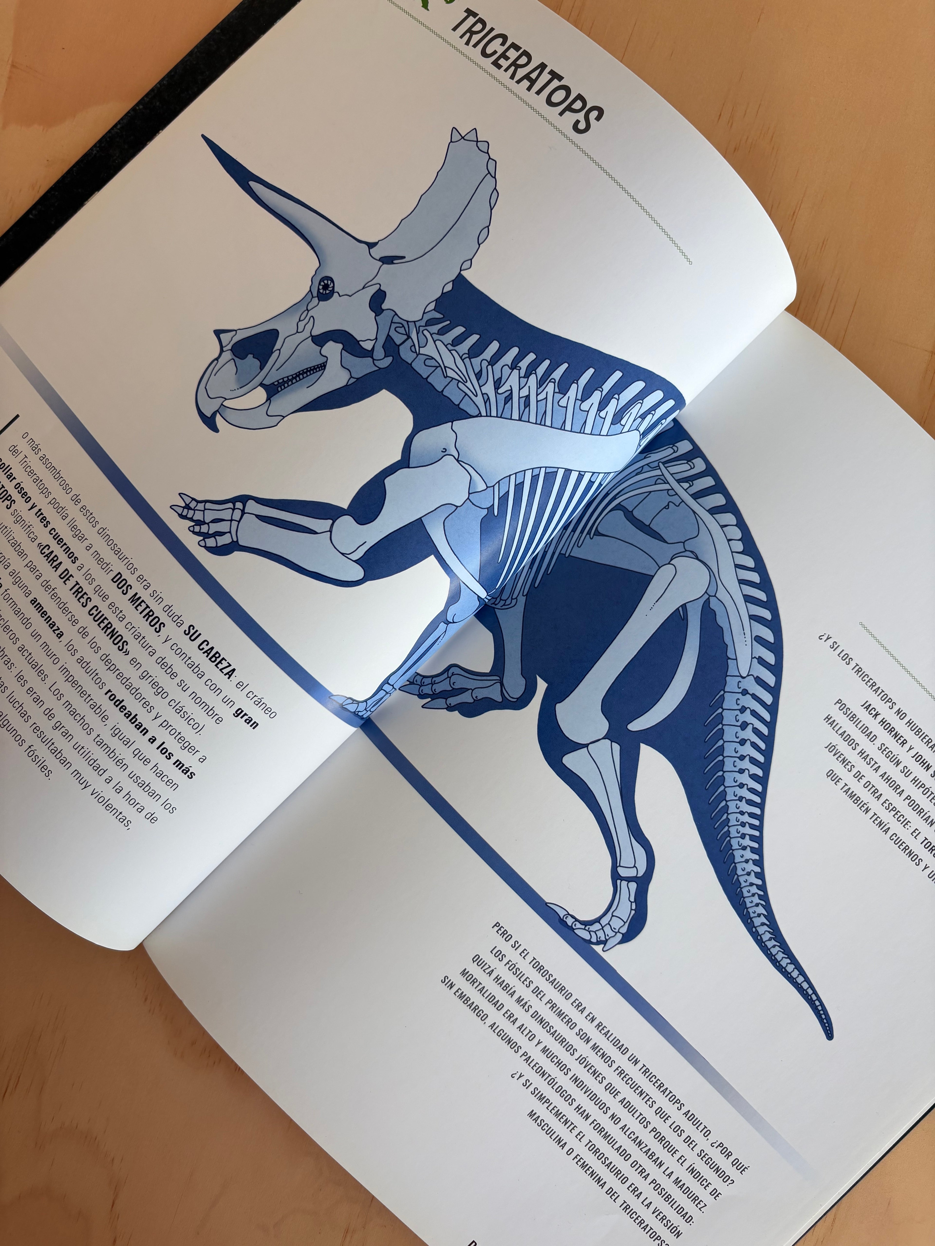 Dinosaurios acorazados - Giuseppe Brillante