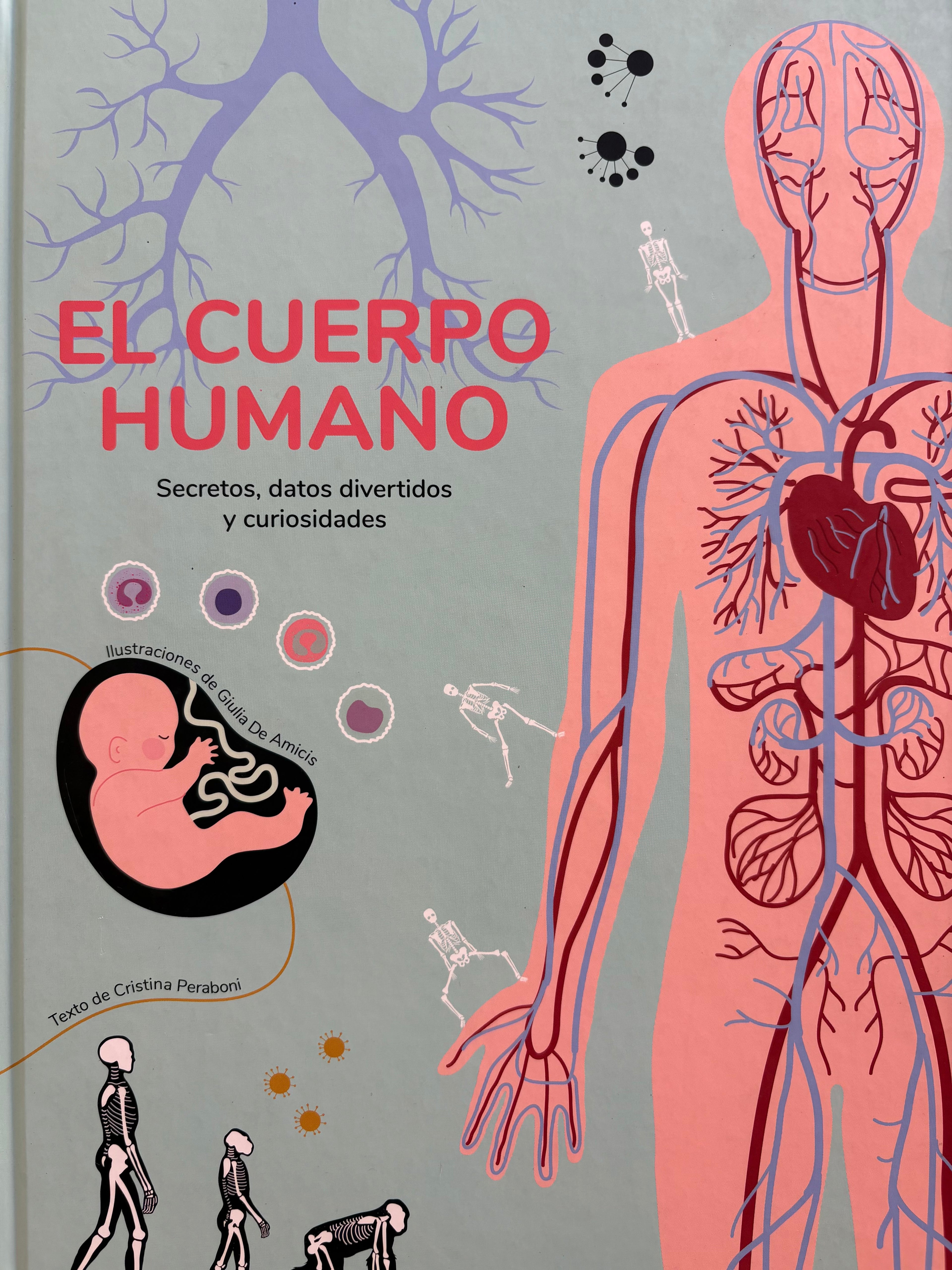 El cuerpo humano - VVKIDS