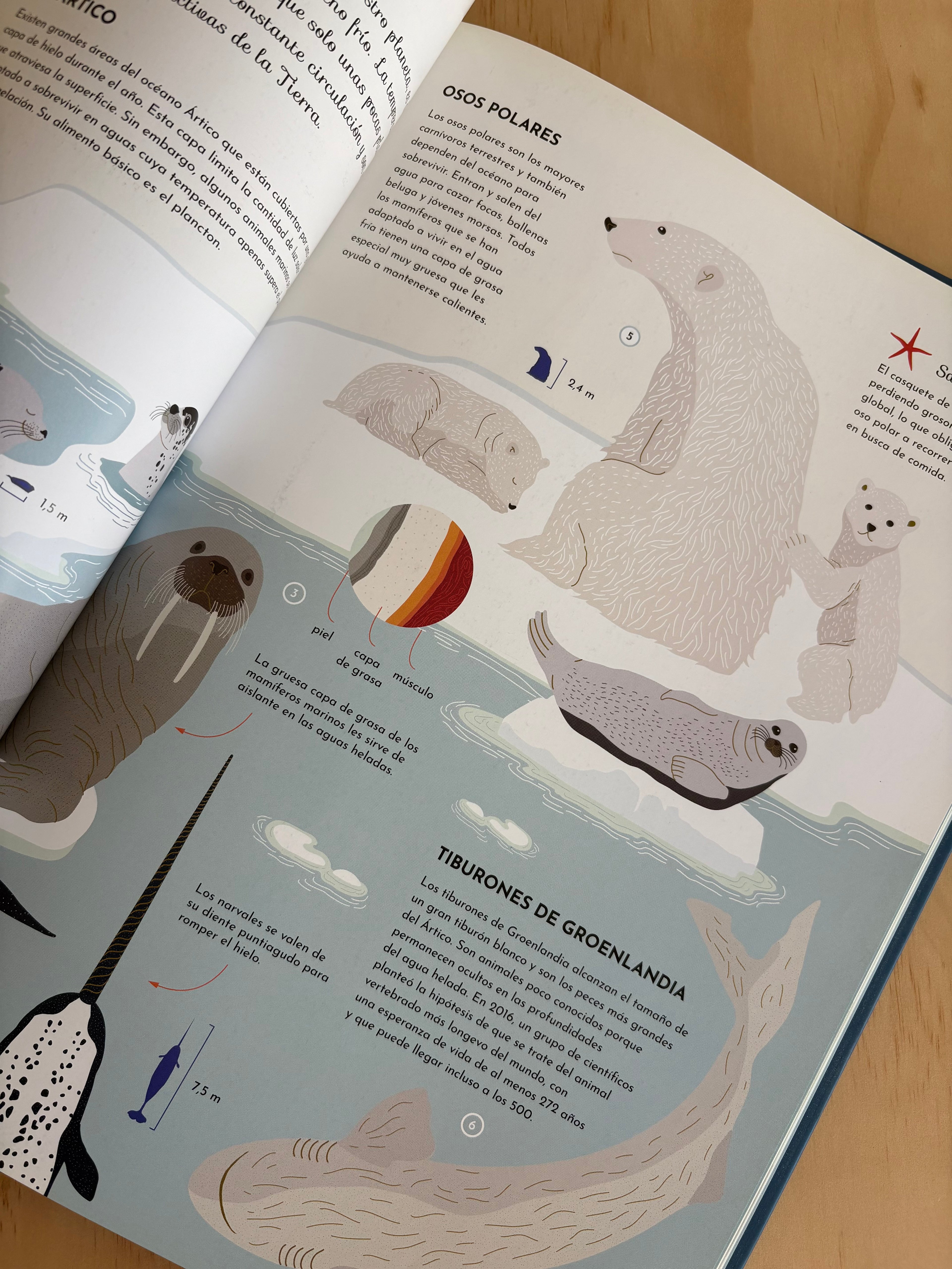 Exploradores del oceano - Sabrina Weiss