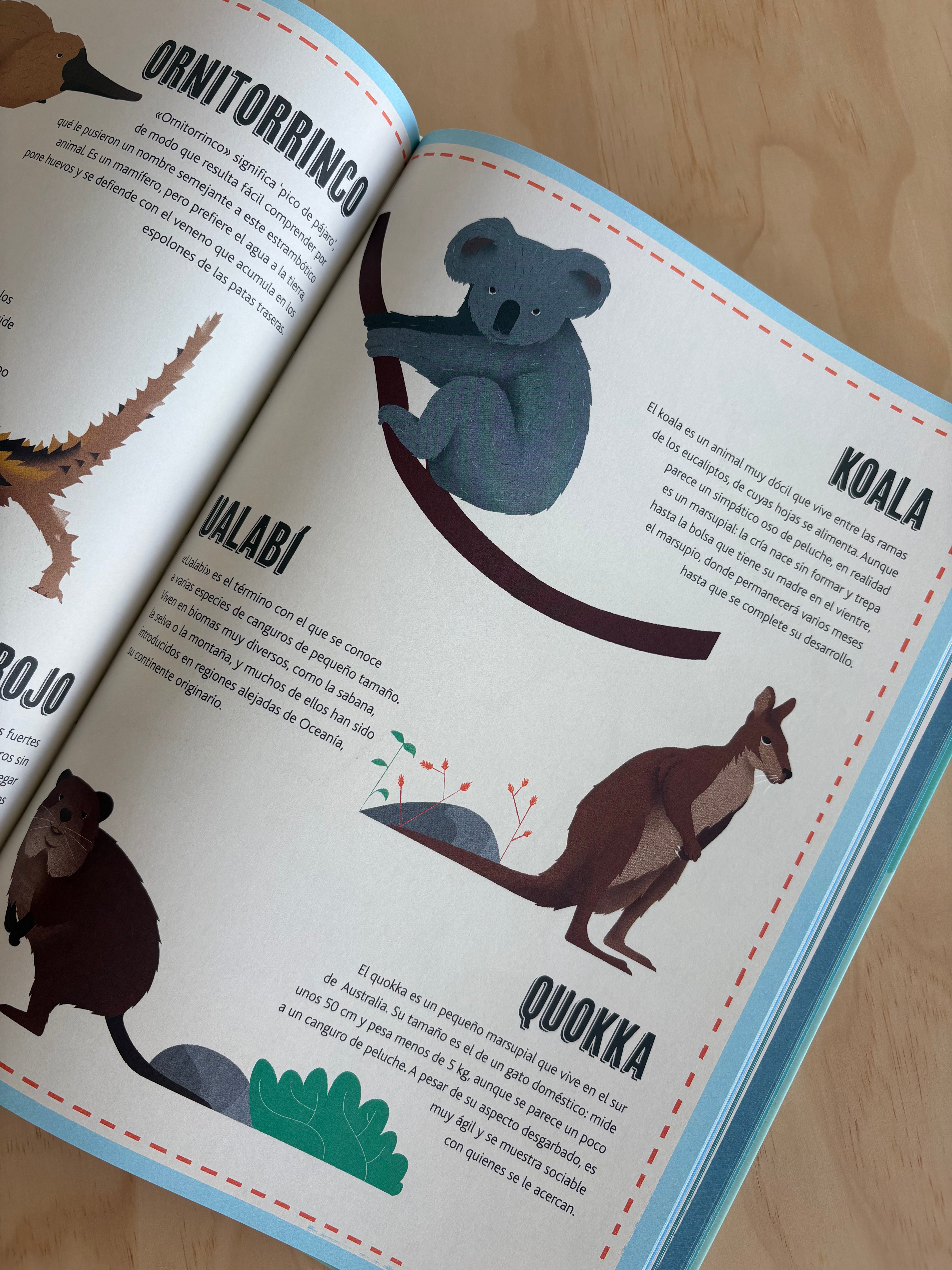Atlas de los animales - Vvkids