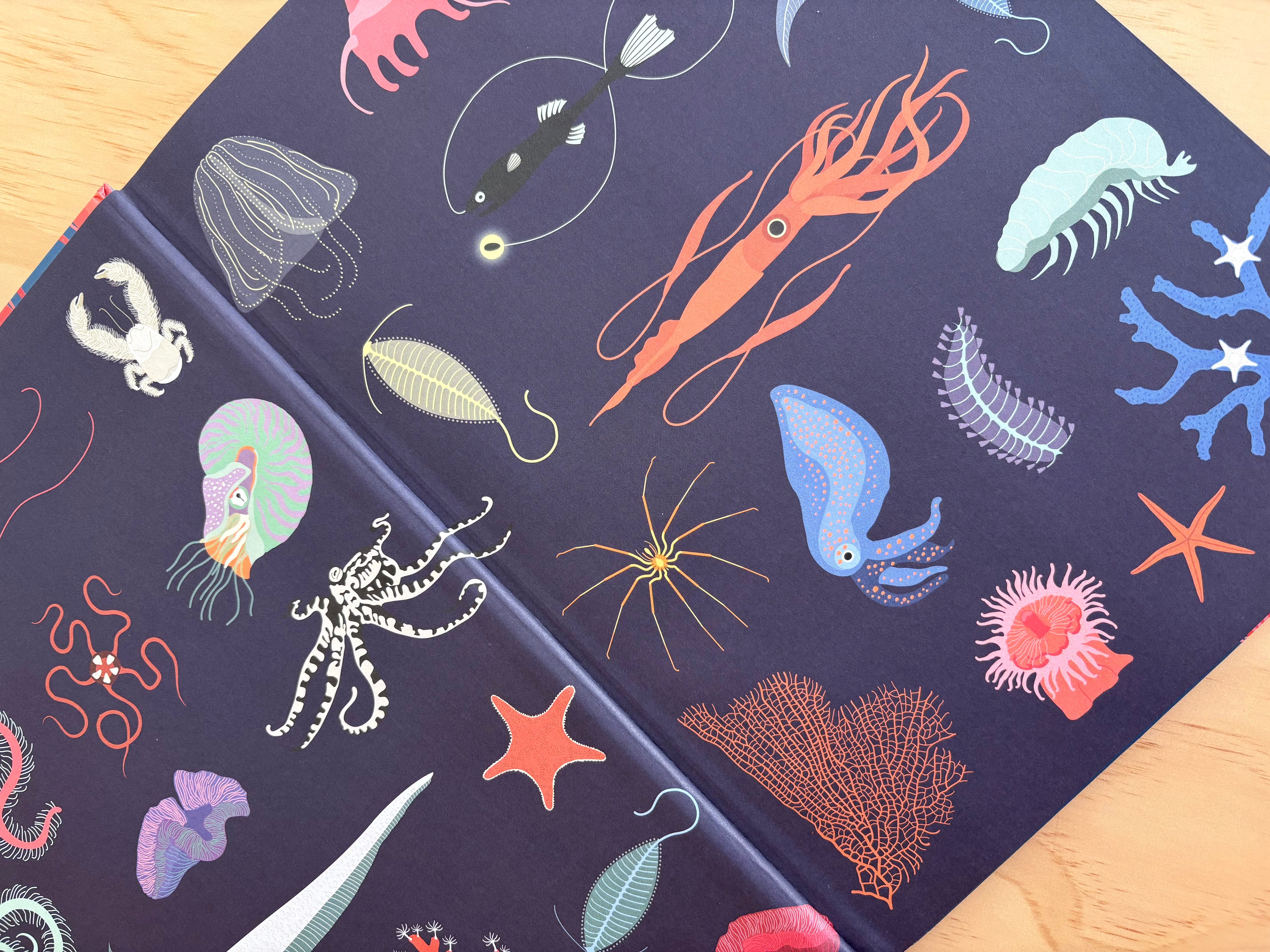 Exploradores del oceano - Sabrina Weiss