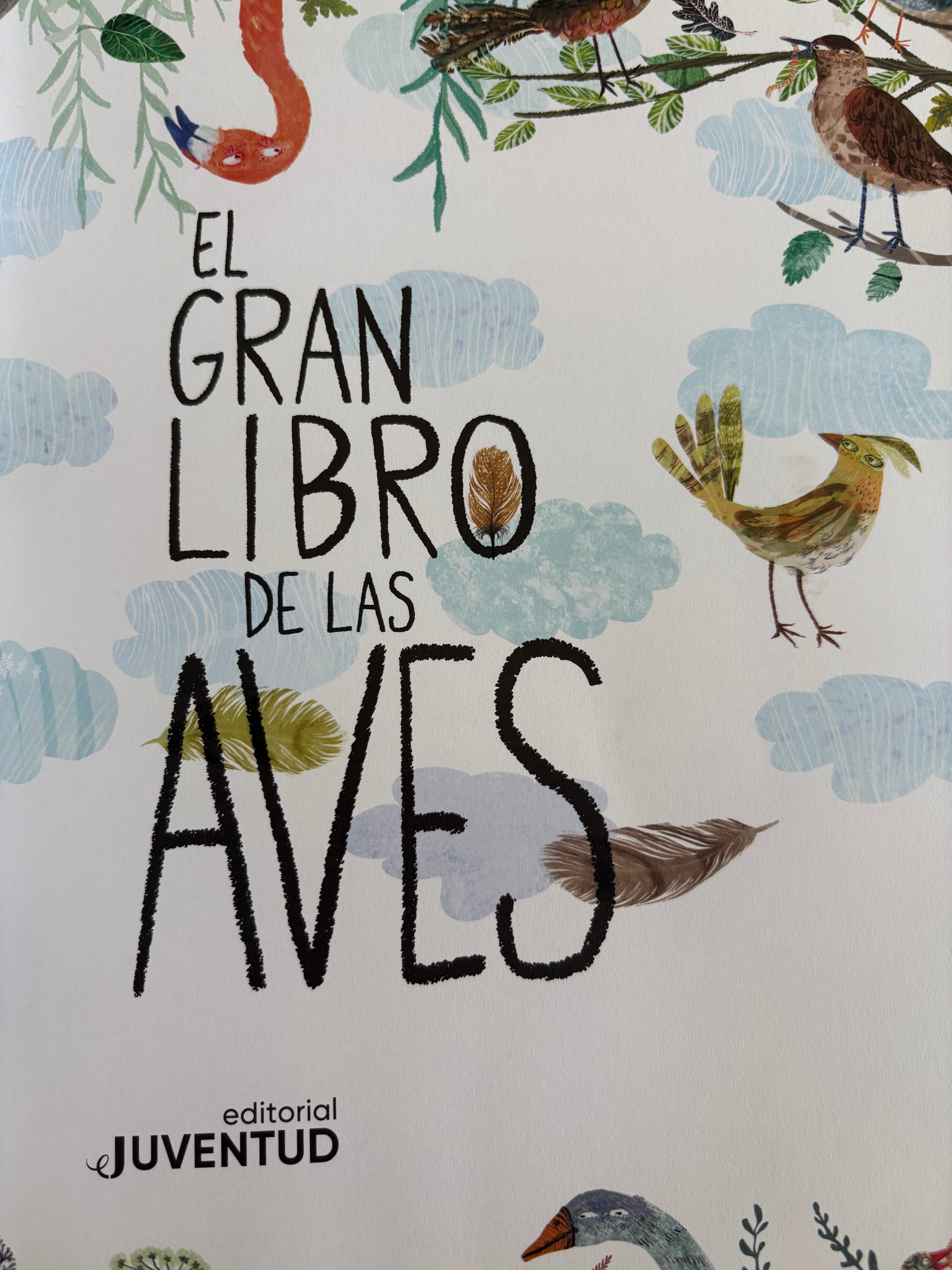 El gran libro de las aves - Yuval Zommer