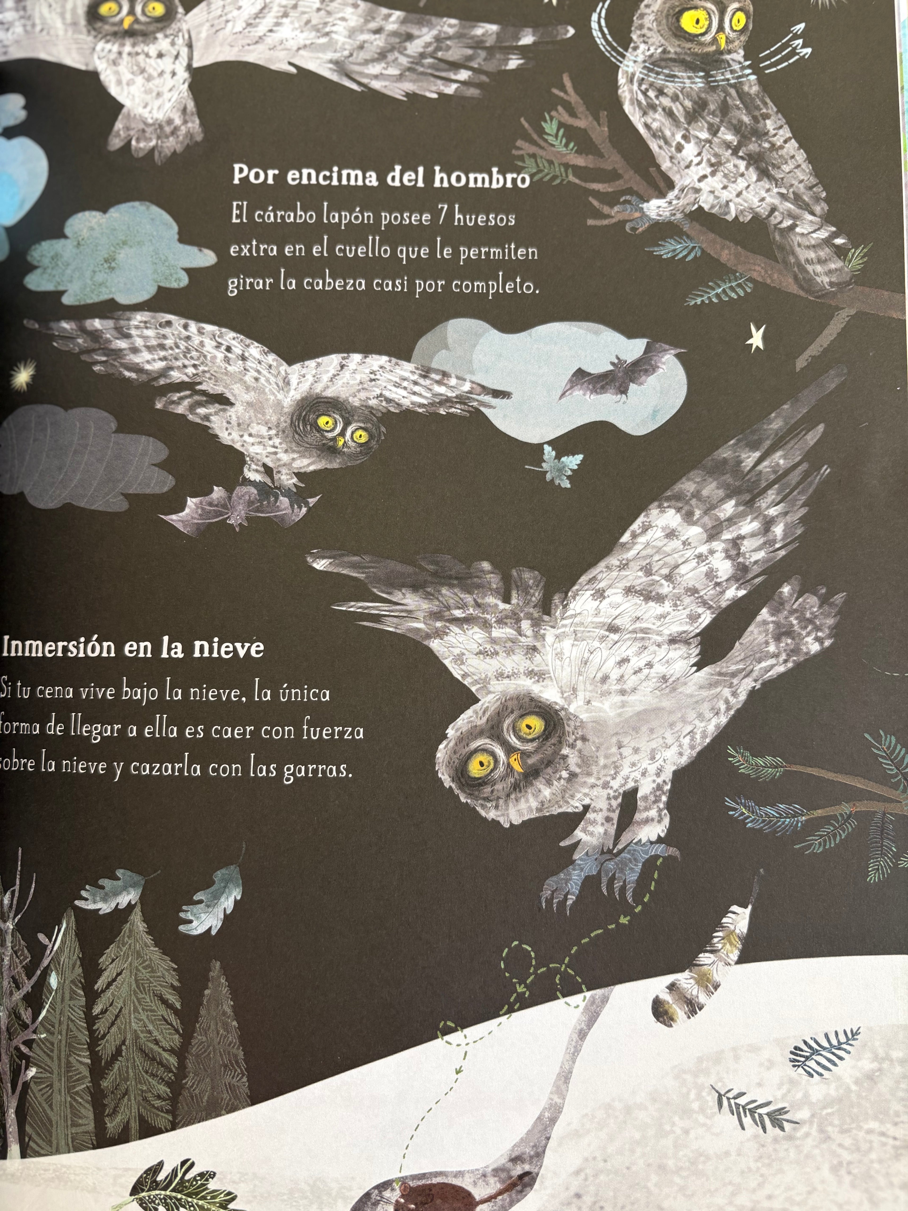 El gran libro de las aves - Yuval Zommer