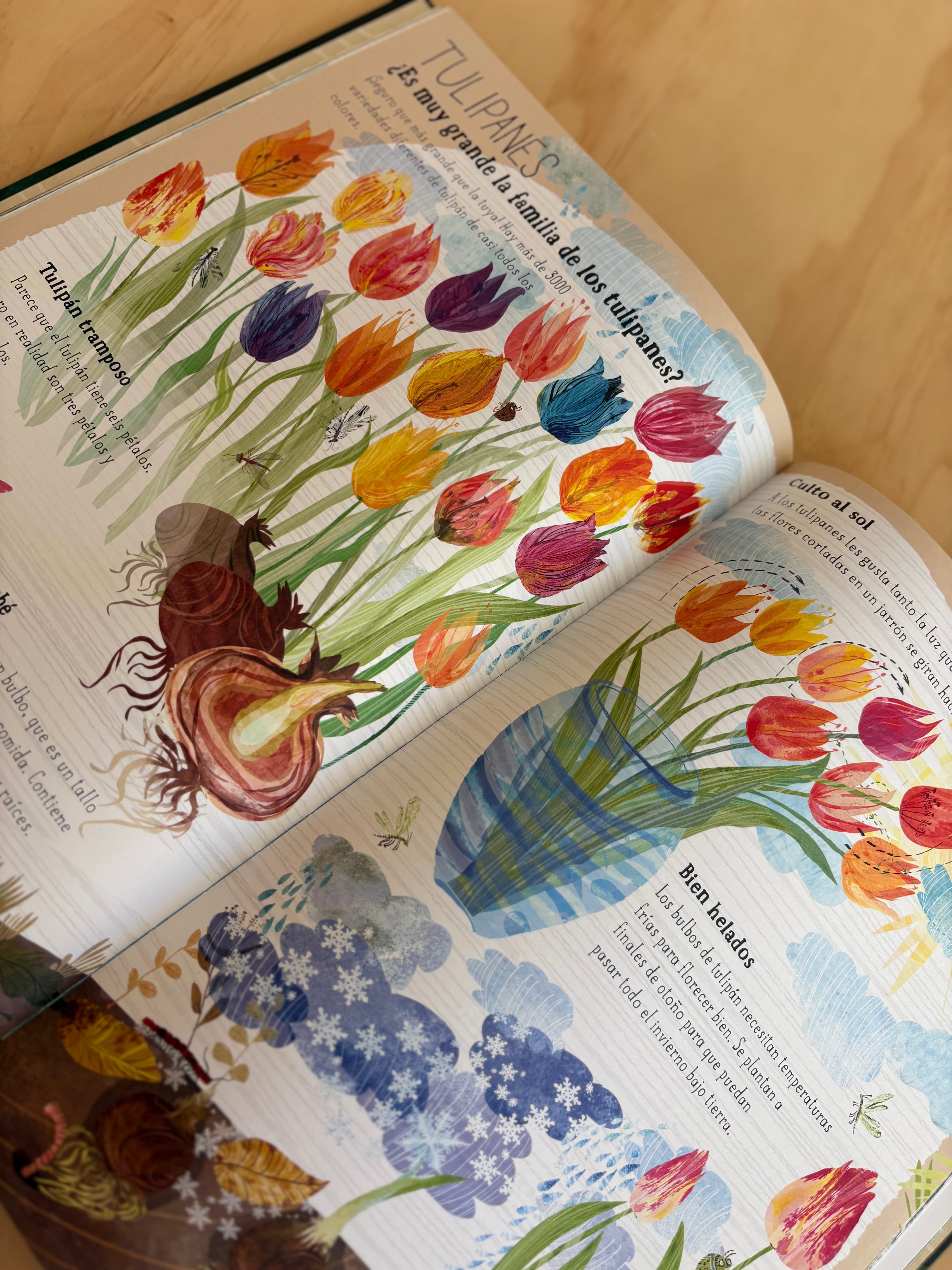 El gran libro de las flores - Yuval Zommer